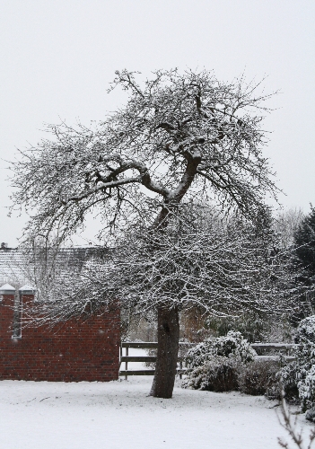 geburtstagswünsche lustig arbeitskollegin glückwünsche geburtstag bilder kostenlos