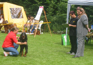 Mareike und ihre Hndin Kaya