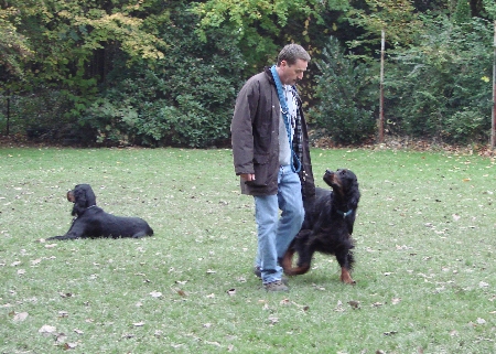 Armin und Elten, Kaya abgelegt