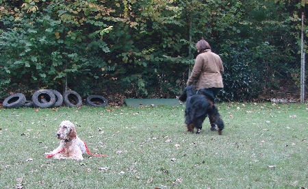 Kaya geht an Nelson vorbei bei Fu