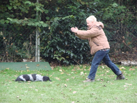 Vito im Down mit Ablenkung