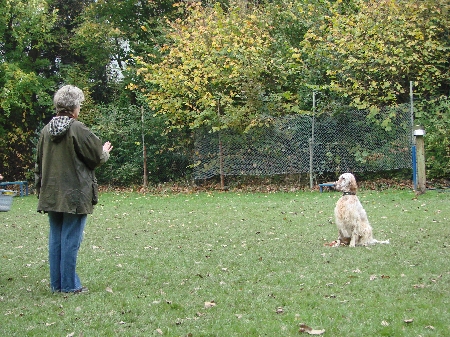 Nelson beim Sitzen und Umkreisen