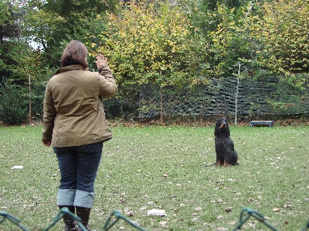Kaya beim Sitzen und Umkreisen