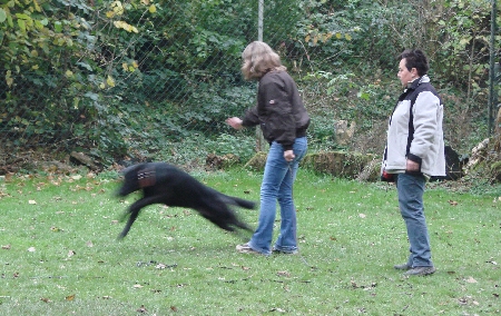 Mareike mit Schrder beim Apport